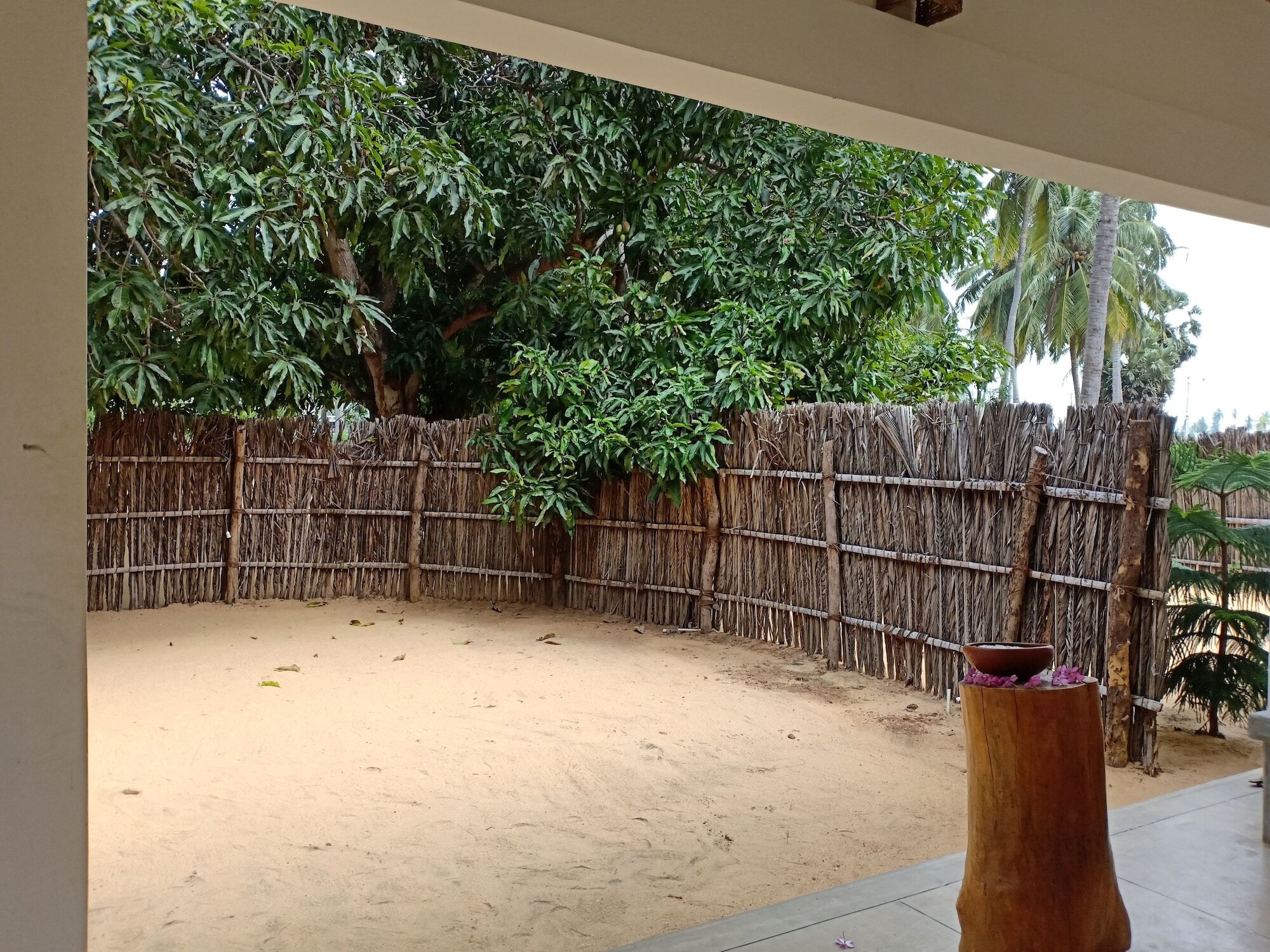 Sunset Safari & Resort คัลพิทิยา ภายนอก รูปภาพ